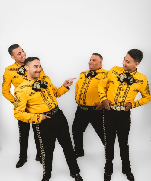 WhatsApp Image 2025-07-07 at 15.18.50