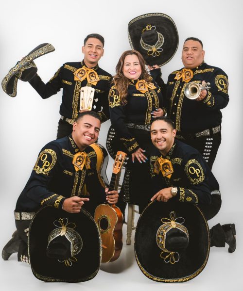 WhatsApp Image 2025-07-07 at 15.22.00