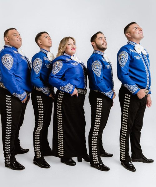 WhatsApp Image 2025-07-07 at 15.24.37